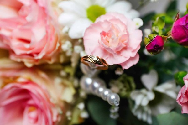 À la découverte des roses éternelles