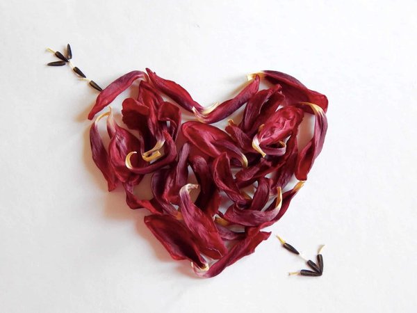 Rose éternelle : Pourquoi l'offrir ?